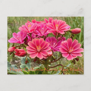 Happy California Native Plant Week! Postcard