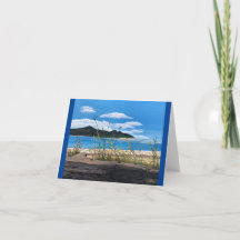 Happy. Camp Hideaway at Netarts Bay