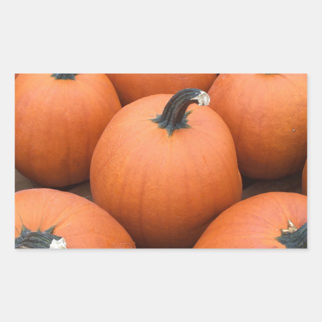 Happy Carving Rectangular Sticker (Front)