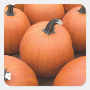 Happy Carving Square Sticker