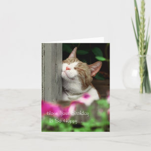 Happy Cat Birthday Card