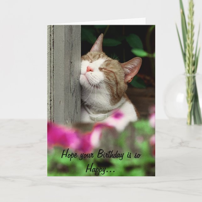 Happy Cat Birthday Card (Front)