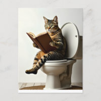 Happy Cat: Cute Kitten Design for Cat Lovers