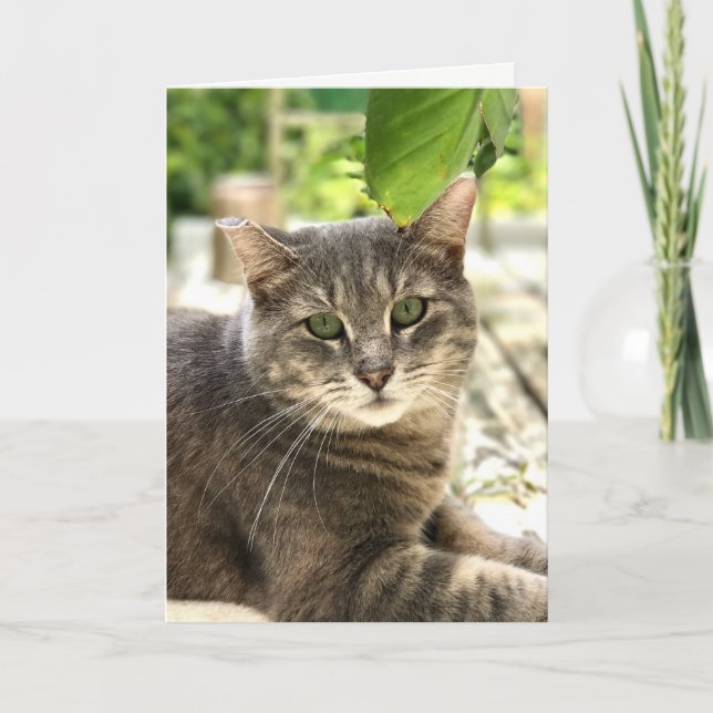 Happy Cat Greeting Card (Front)