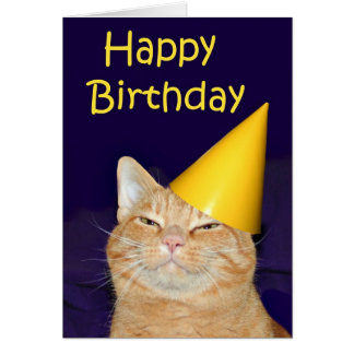 Ginger Cat Cards & Invitations | Zazzle.co.uk