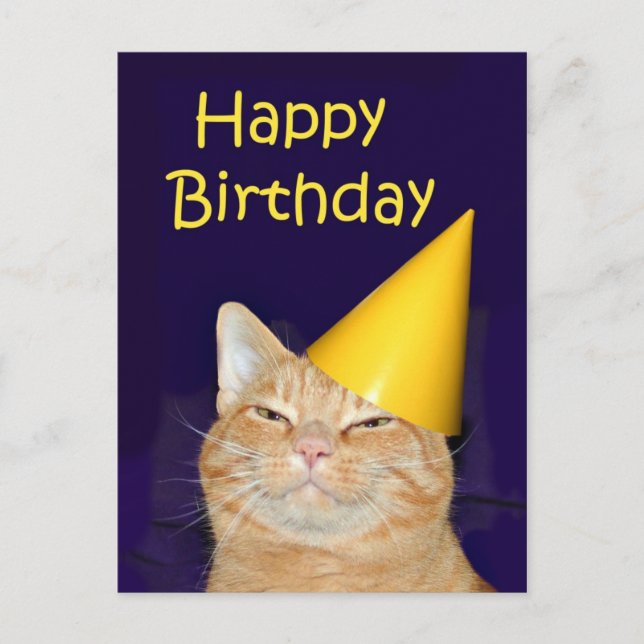 Happy cat Happy Birthday Postcard (Front)