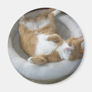 Happy Cat Magnet