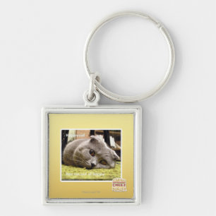 Happy cat, out of happy key ring
