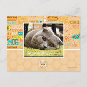 Happy cat, out of happy postcard