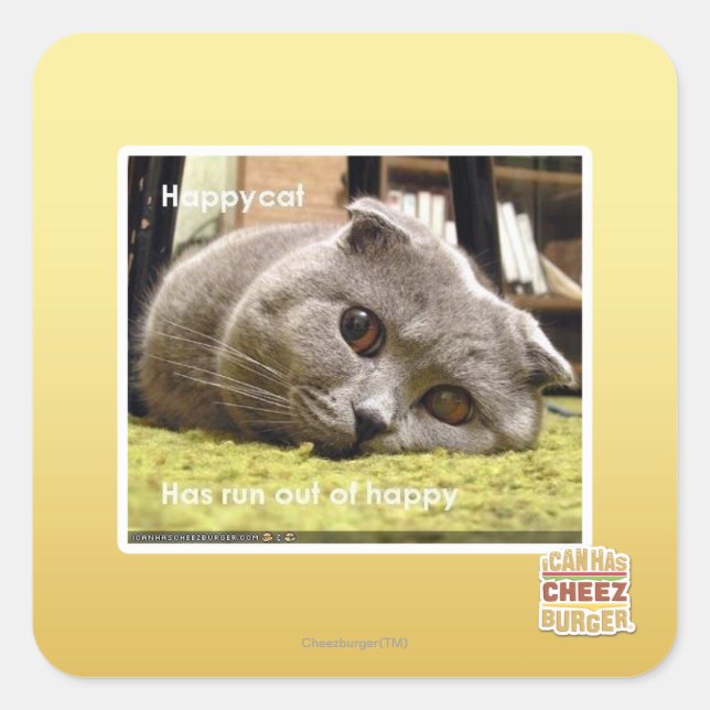 Happy cat, out of happy square sticker (Front)