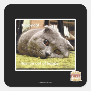Happy cat, out of happy square sticker