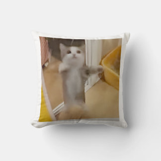 Happy Cat Pillow
