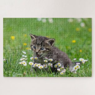 Happy cat playing with flowers jigsaw puzzle
