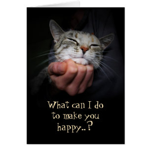 Happy Cat: What can I do to make you happy?