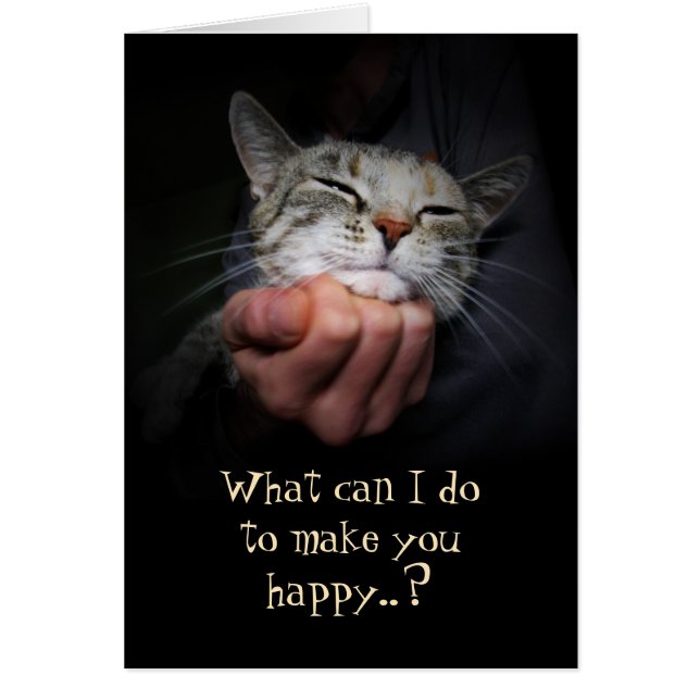 Happy Cat: What can I do to make you happy? (Front)