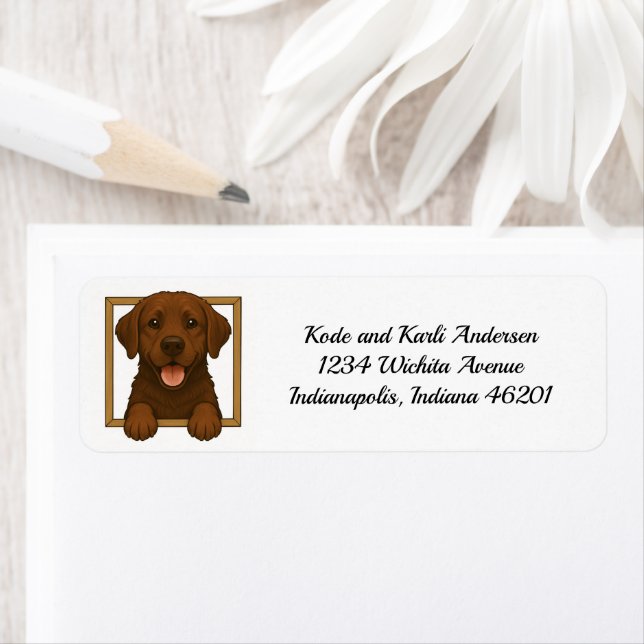 Happy Chocolate Labrador Retriever Return Address (Insitu)