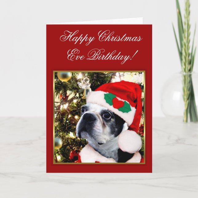 Happy Christmas  Eve Birthday Boston terrier Holiday Card (Front)