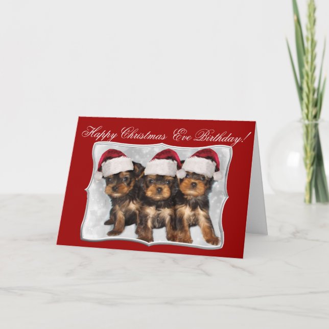 Happy Christmas  Eve Birthday Yorkshire Terriers Holiday Card (Front)
