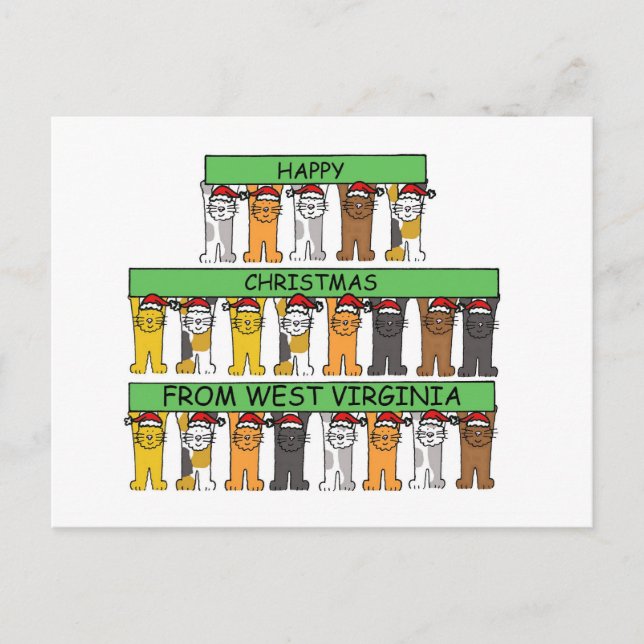 Happy Christmas from West Virginia Cats Holiday Postcard (Front)