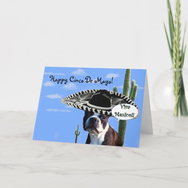 Happy cinco de Mayo boston terrier greeting card (Front)