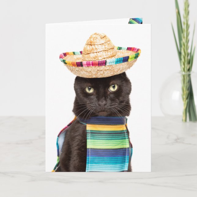 Happy Cinco De Mayo Cat in Sombrerro Humour Holiday Card (Front)