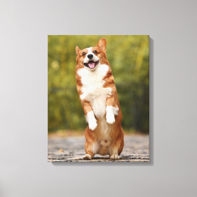 Happy Corgi Puppy Standing Photo Canvas Print (Front)