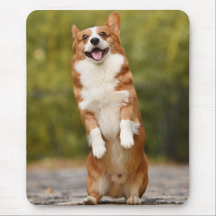 Happy Corgi Puppy Standing Photo Mouse Mat