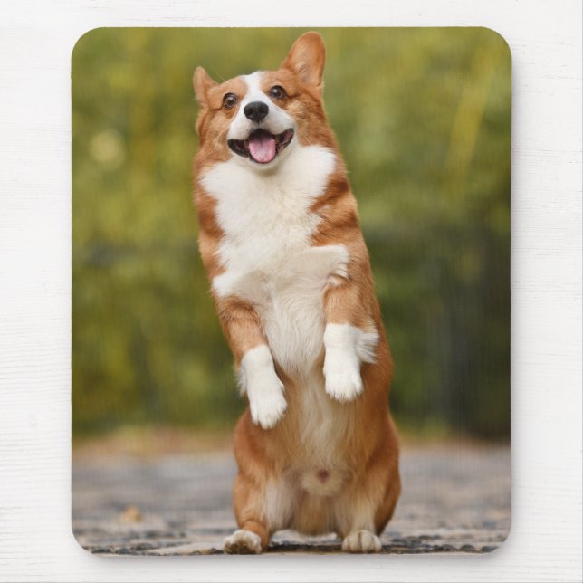 Happy Corgi Puppy Standing Photo Mouse Mat (Front)