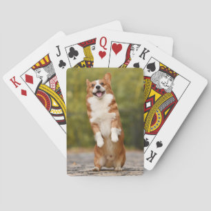 Happy Corgi Puppy Standing Photo Playing Cards