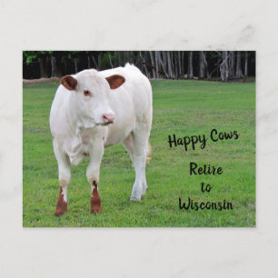 Happy Cows New Address / Change of Address Announcement Postcard