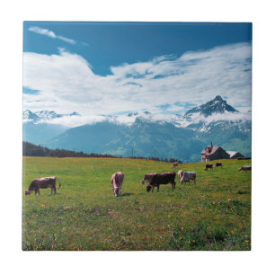 Happy Cows on the Farm in Switzerland Tile