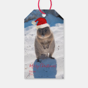 Happy Cute Festive Quokka on the Beach Christmas Gift Tags