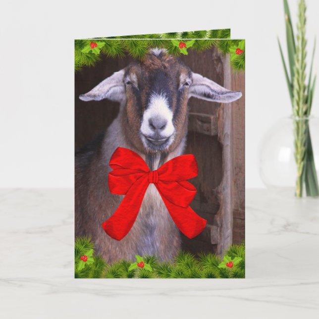Happy Cute Goat Christmas Holiday Card (Front)
