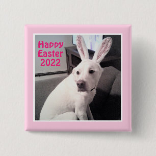 Happy Cute Puppy Dog With Easter Bunny Ears Pink 15 Cm Square Badge