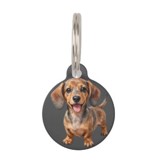 Happy Dachshund Puppy Pet Tag
