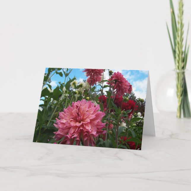 Happy Dahlias Card (Front)