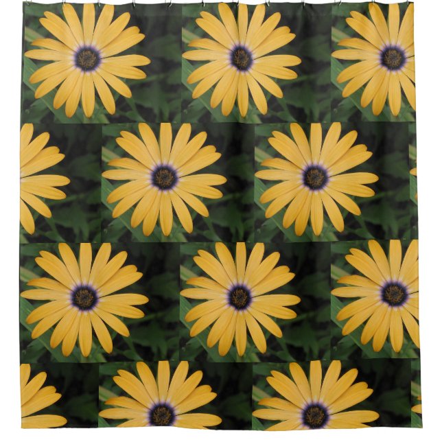 Happy Daisy Shower Curtain (Front)
