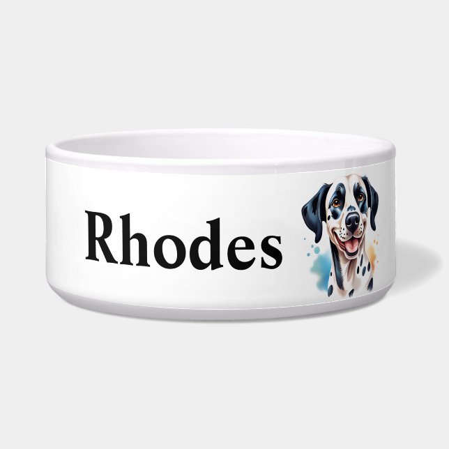 Happy Dalmatian Dog Pet  (Front)