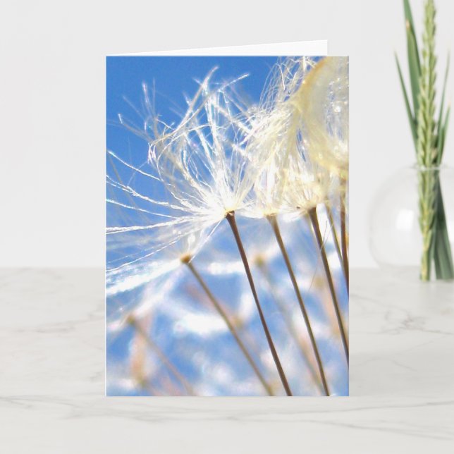 Happy, Dancing Dandelion Poof, Poetry of Nature Card (Front)