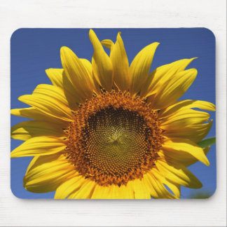 Happy day by the computer mouse mat