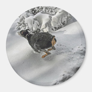 Happy Doberman in Snow Magnet