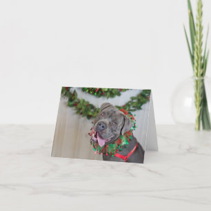 Happy Dog Christmas Card