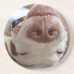 Happy Dog Coasters