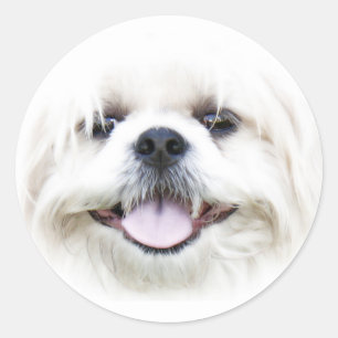 Happy dog face sticker