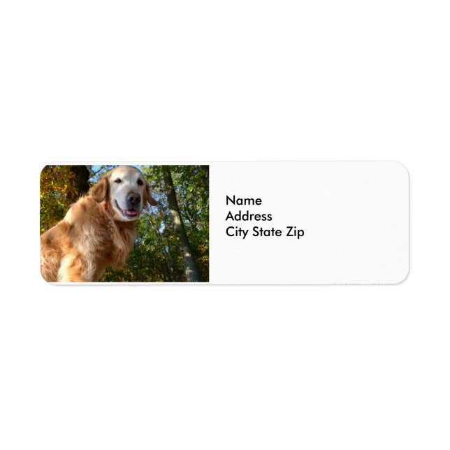 Happy Dog Golden Retriever / Return Address Labels (Front)