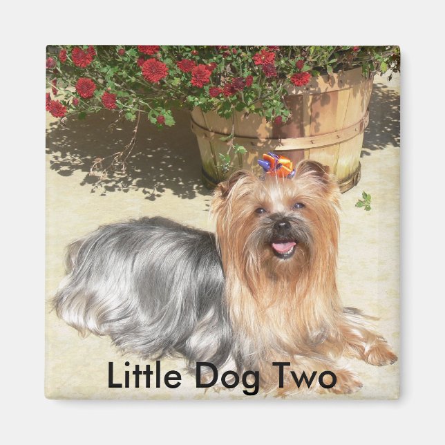 happy dog, Little Dog Two - Customised Magnet (Front)