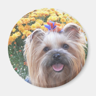 Happy Dog Magnet