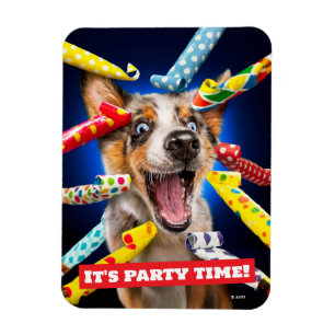 Happy Dog Party Blowers Magnet