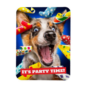 Happy Dog Party Blowers Magnet