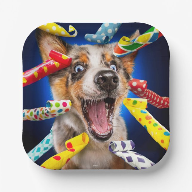 Happy Dog Party Blowers Paper Plate (Front)